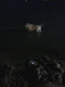 Lili fürdik este a Balatonban