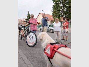 Lili nézi Niki és a tandemet