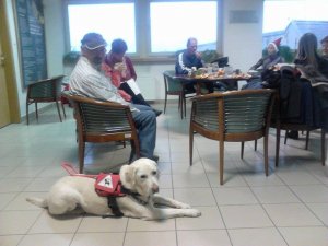 Asztak körül Lilike nagyon jóóó