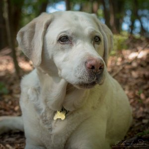 Fotó: Kondor Tamás