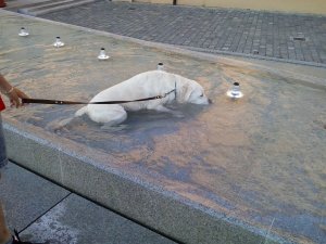 Fotó: Horváth Istvánné