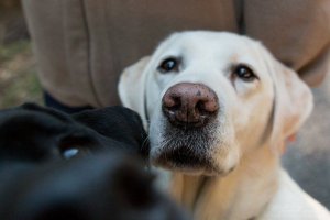 Fotó: Kondor Tamás