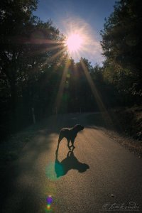 Fotó: Kondor Tamás