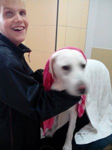 Fotó: Németh Beatrix