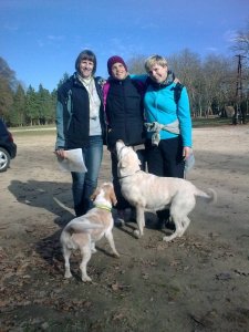 Fotó: Meszes András