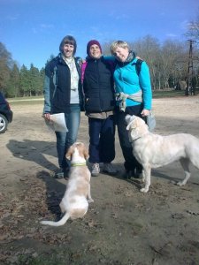 Fotó: Meszes András