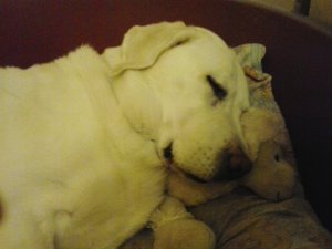 Fotó: Horváth Istvánné