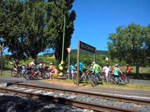 Fotó: Kollerné Ildikó