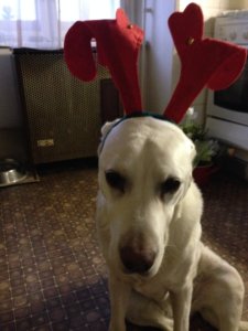 Fotó: Horváth Istvánné Jutka