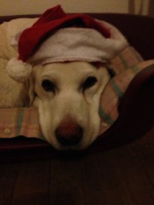 Fotó: Horváth Istvánné Jutka